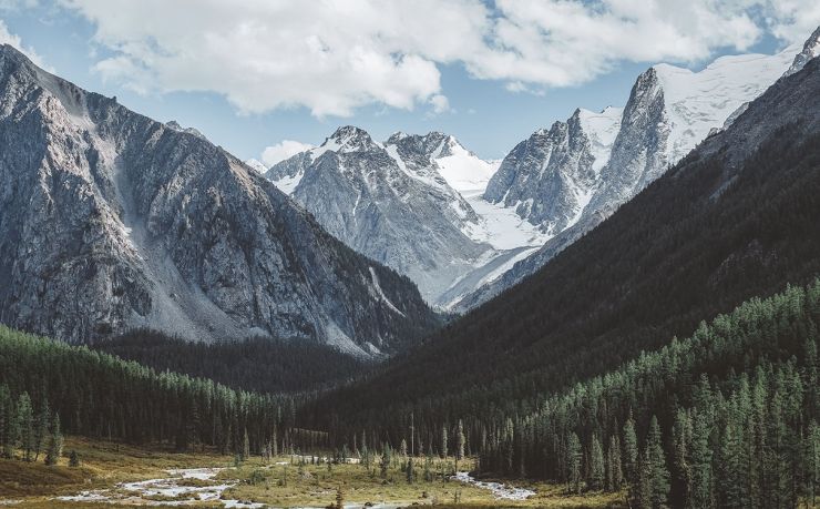 移民泰国咨询中介